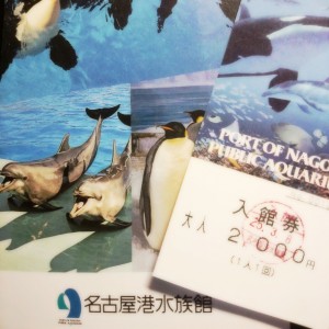 2013-03-11-14-49-03_deco